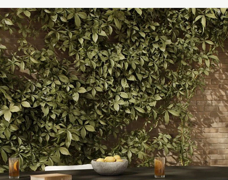 Outdoor Paden & Caney