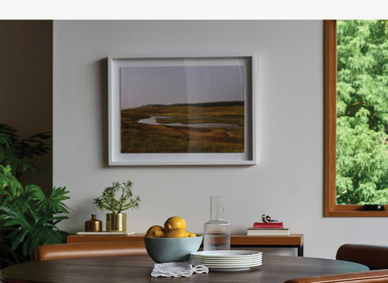 Where the Buffalo Roam