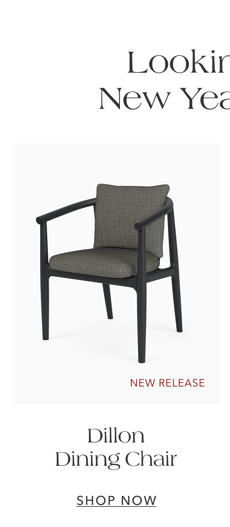 Dillon Dining Chair — Shop Now