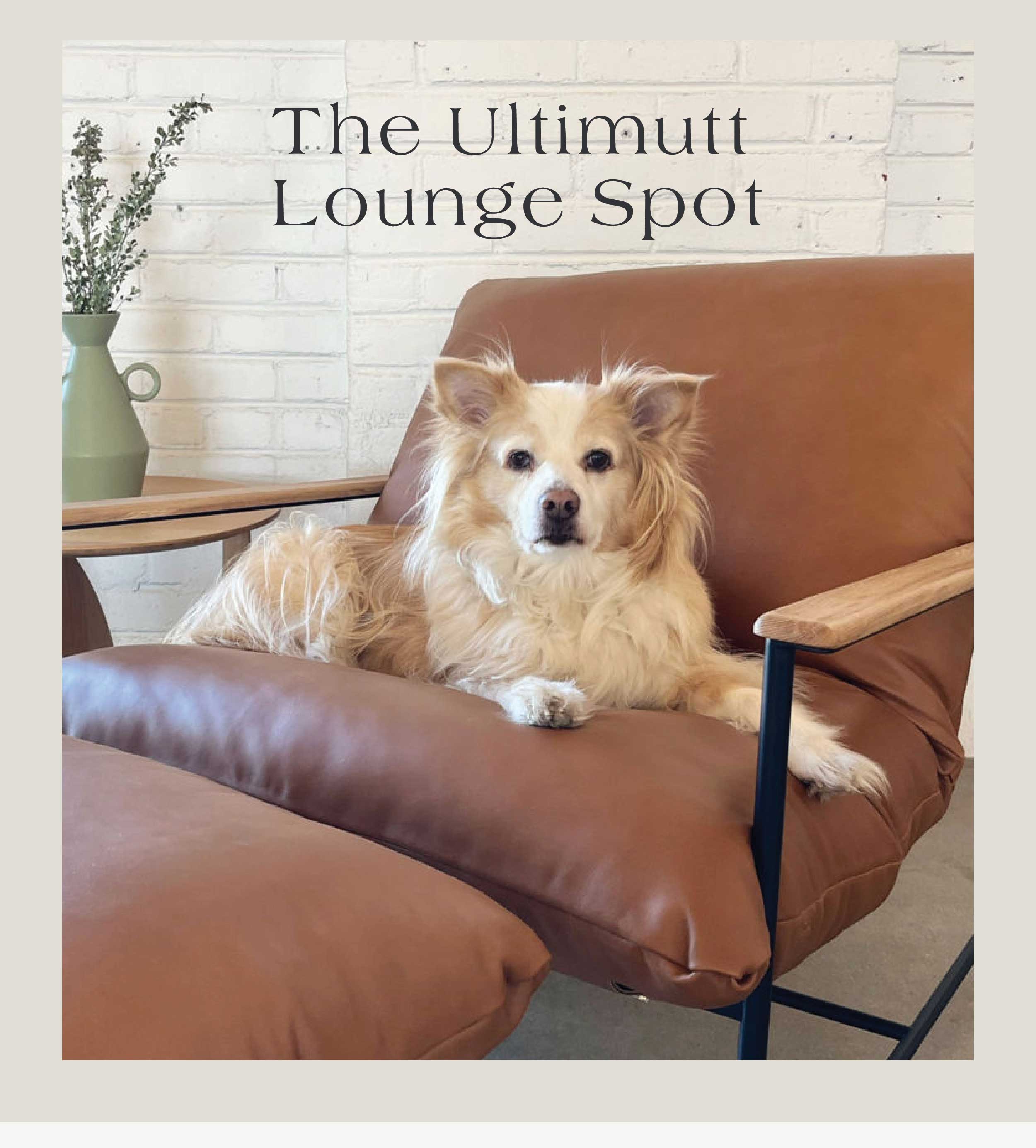 The Ultimutt Lounge Spot 