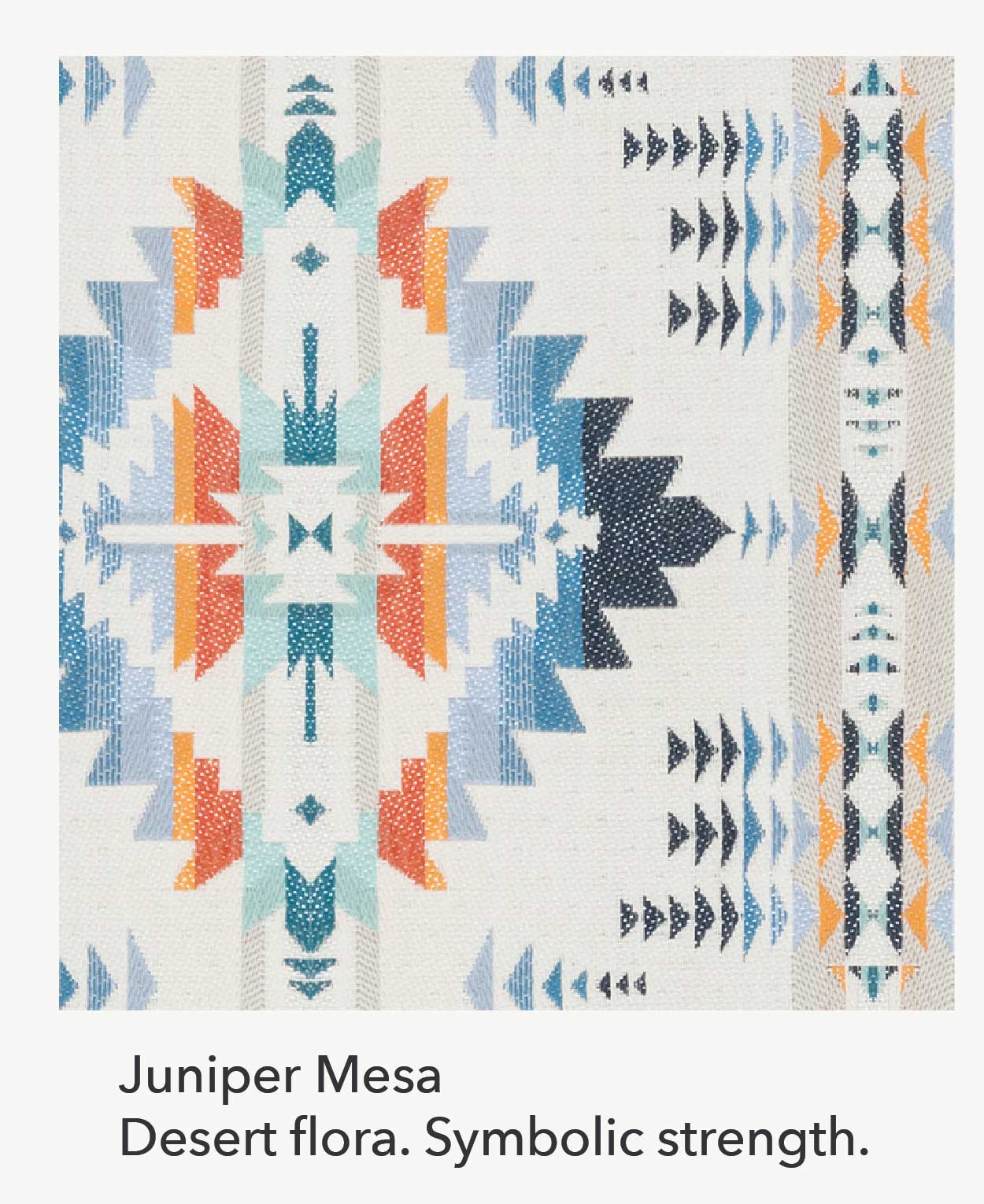 Juniper Mesa Desert flora. Symbolic strength.