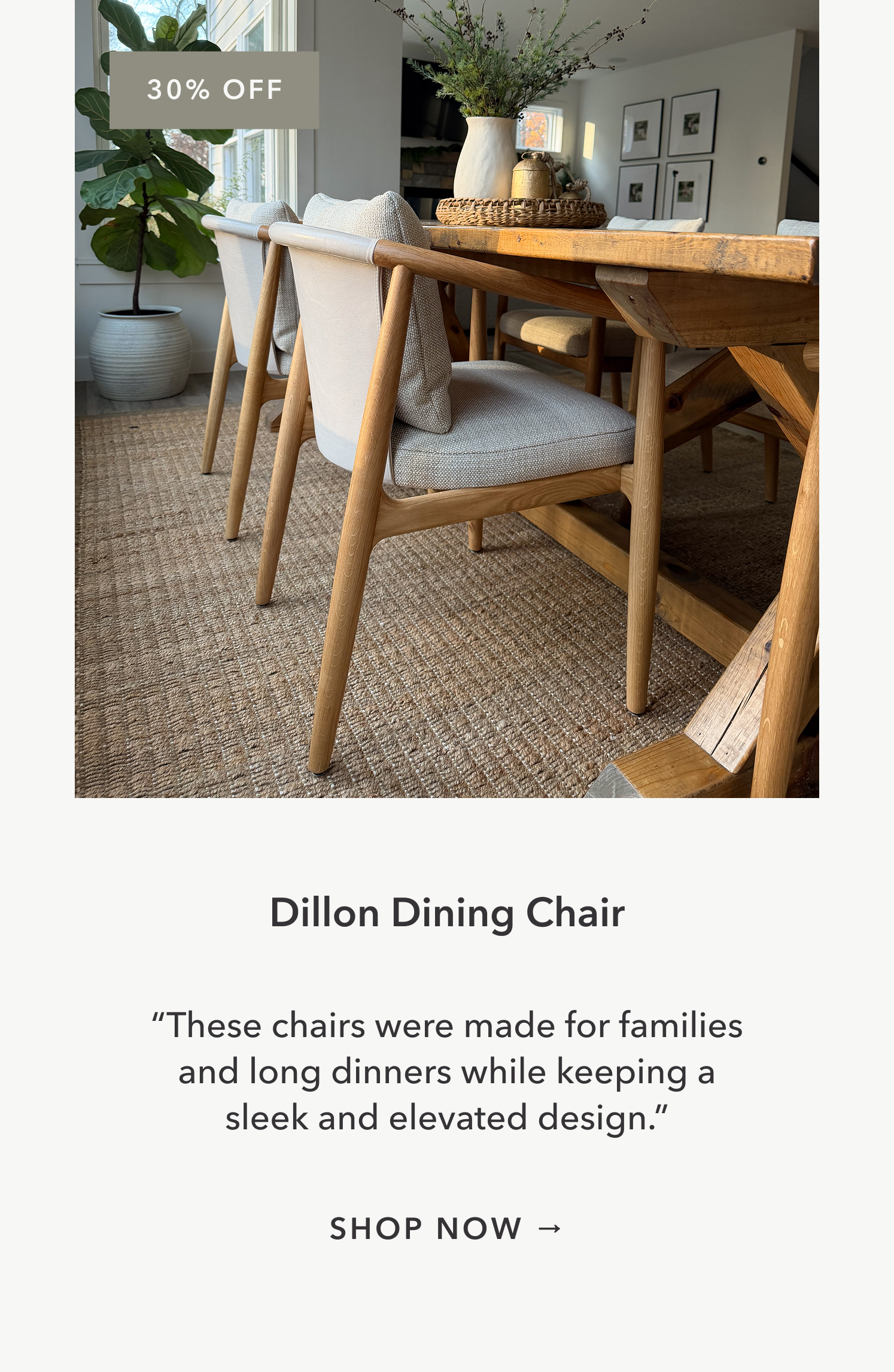 Dillon Dining Chair 