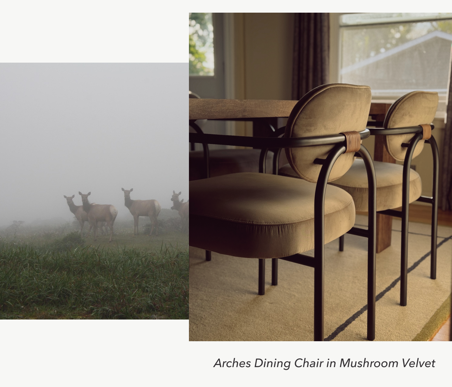 Arches Dining Chair in Mushroom Velvet