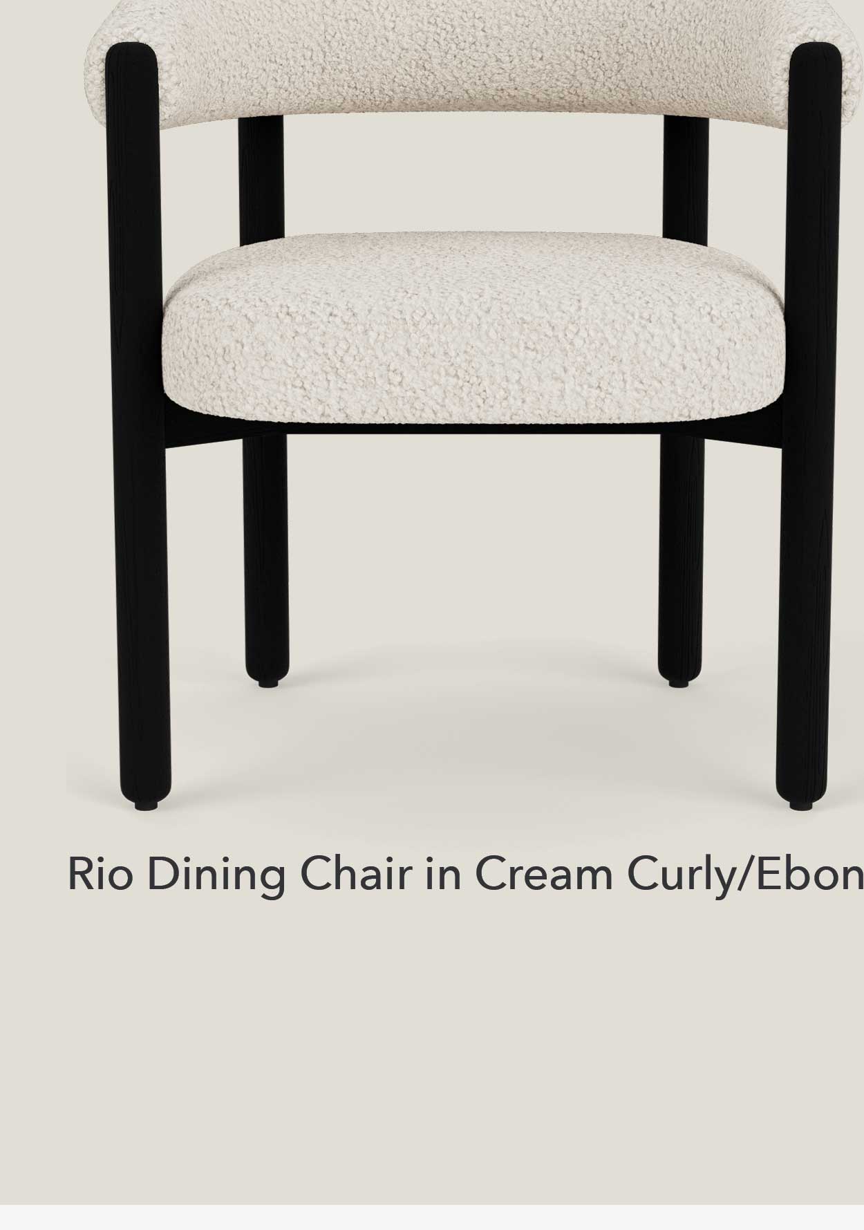 Rio Dining Chair in Ebony Frame /Cream Curly 