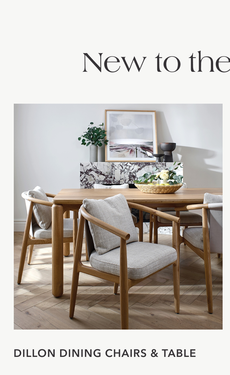 Shop Dillon Dining Chairs & Table