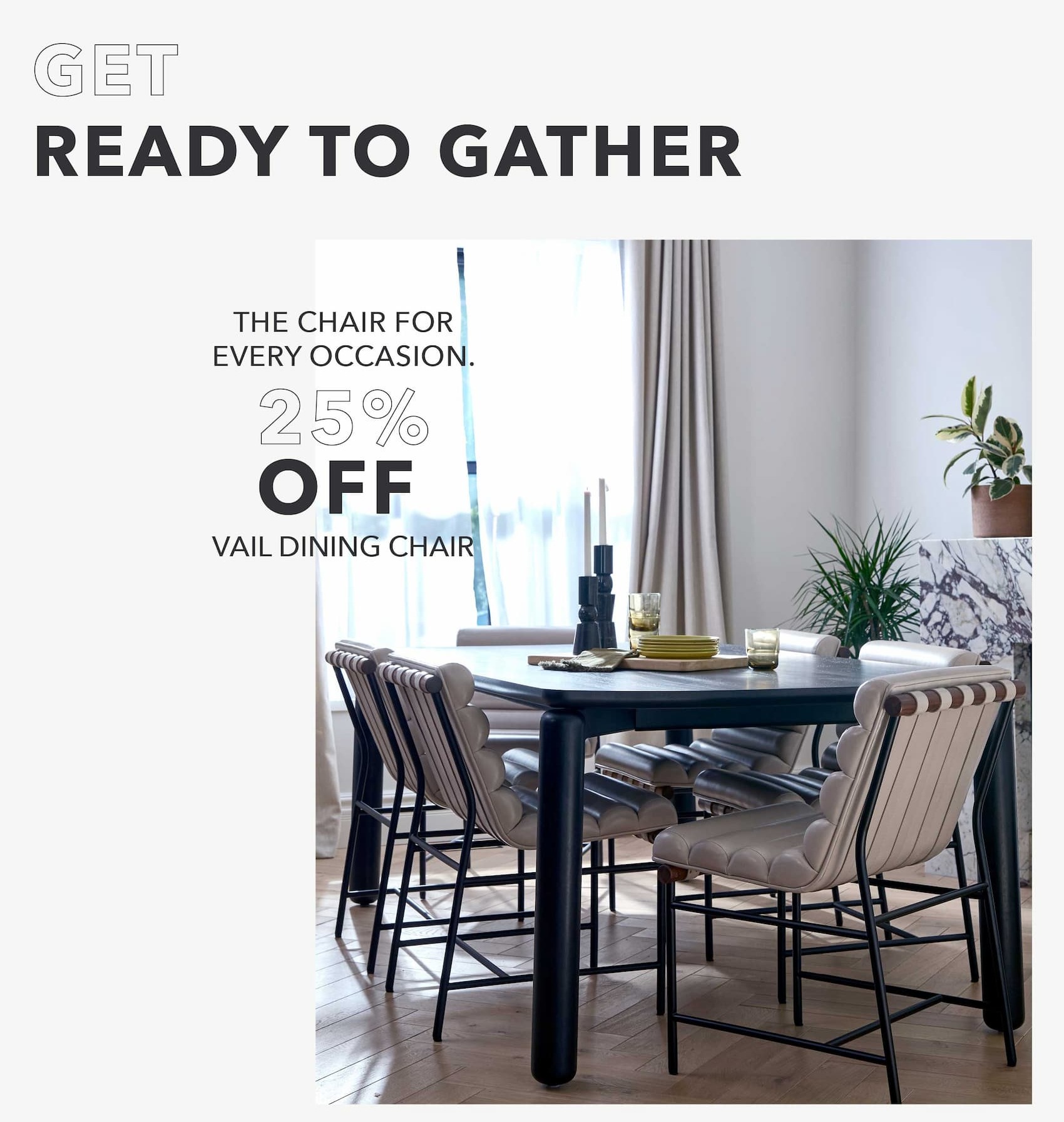 The Chair for Every Occassion 25% off Vail Dining Chair 