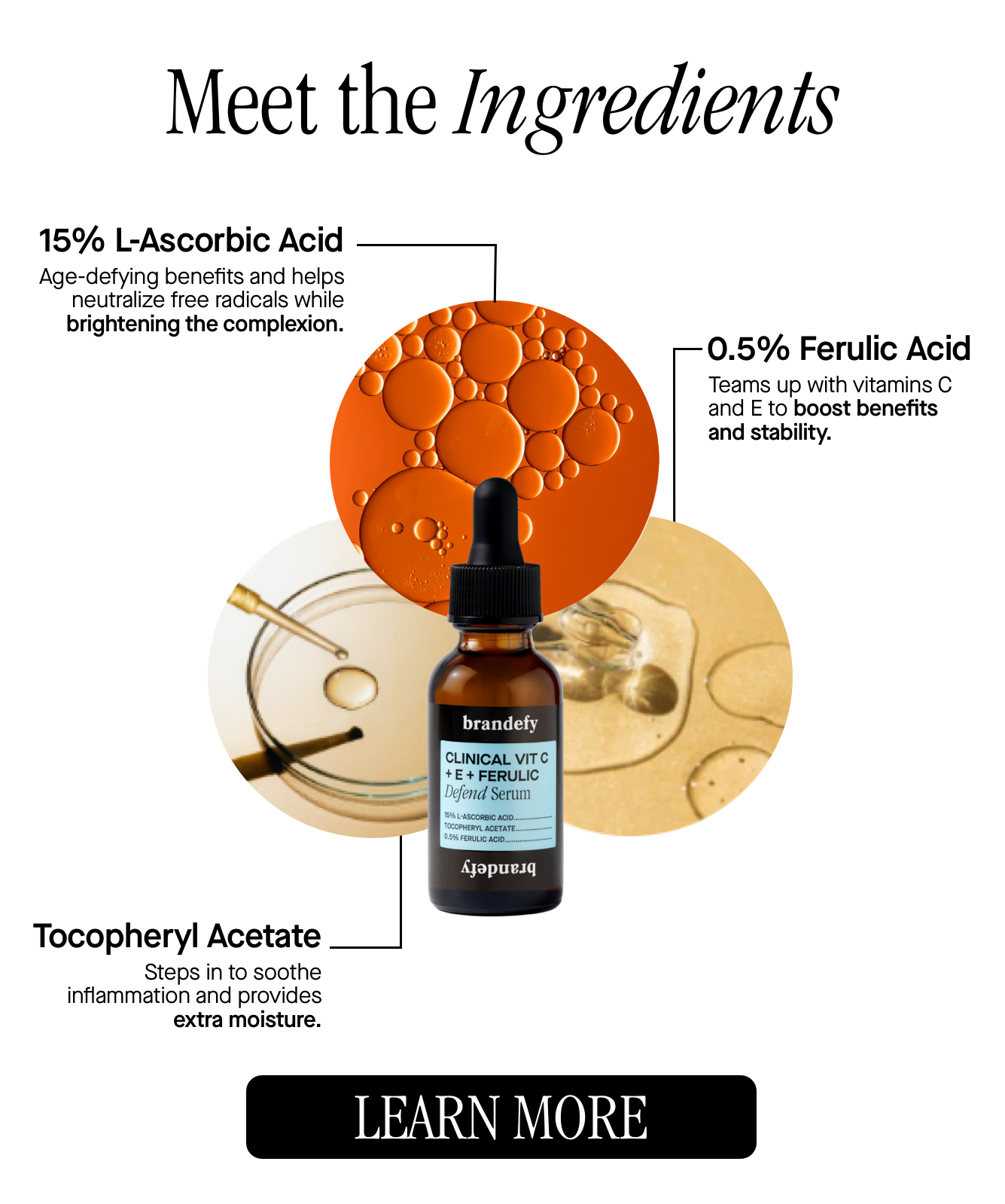 Meet the Ingredients 