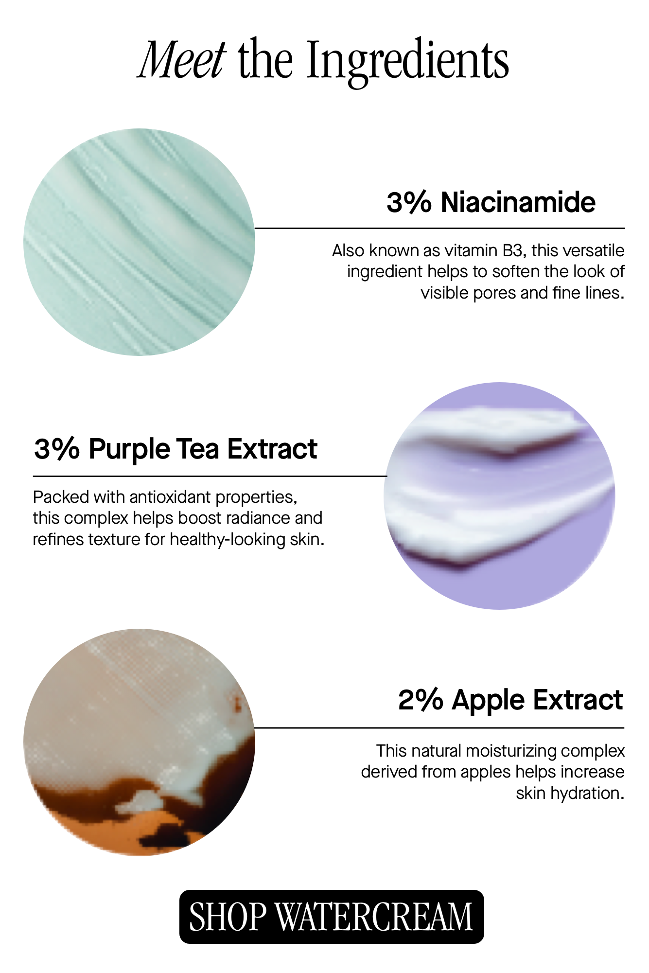 Meet the Ingredients 
