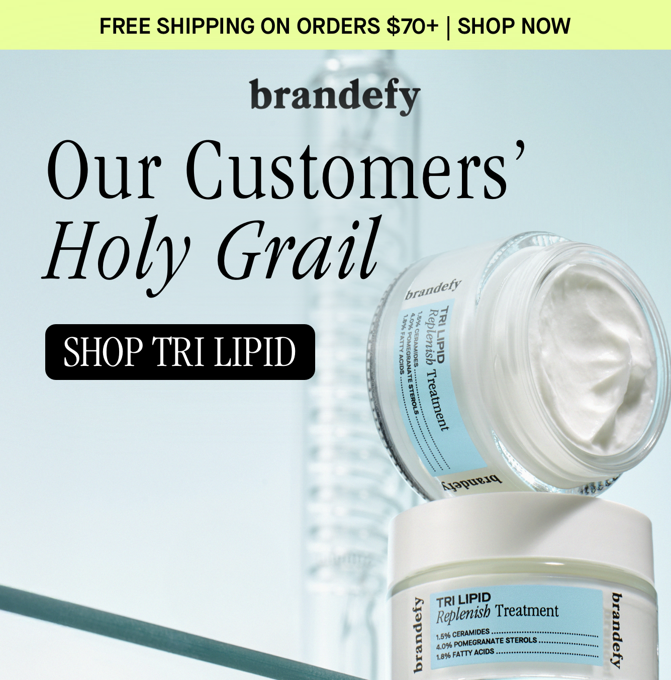 Our Customers' Holy Grail 