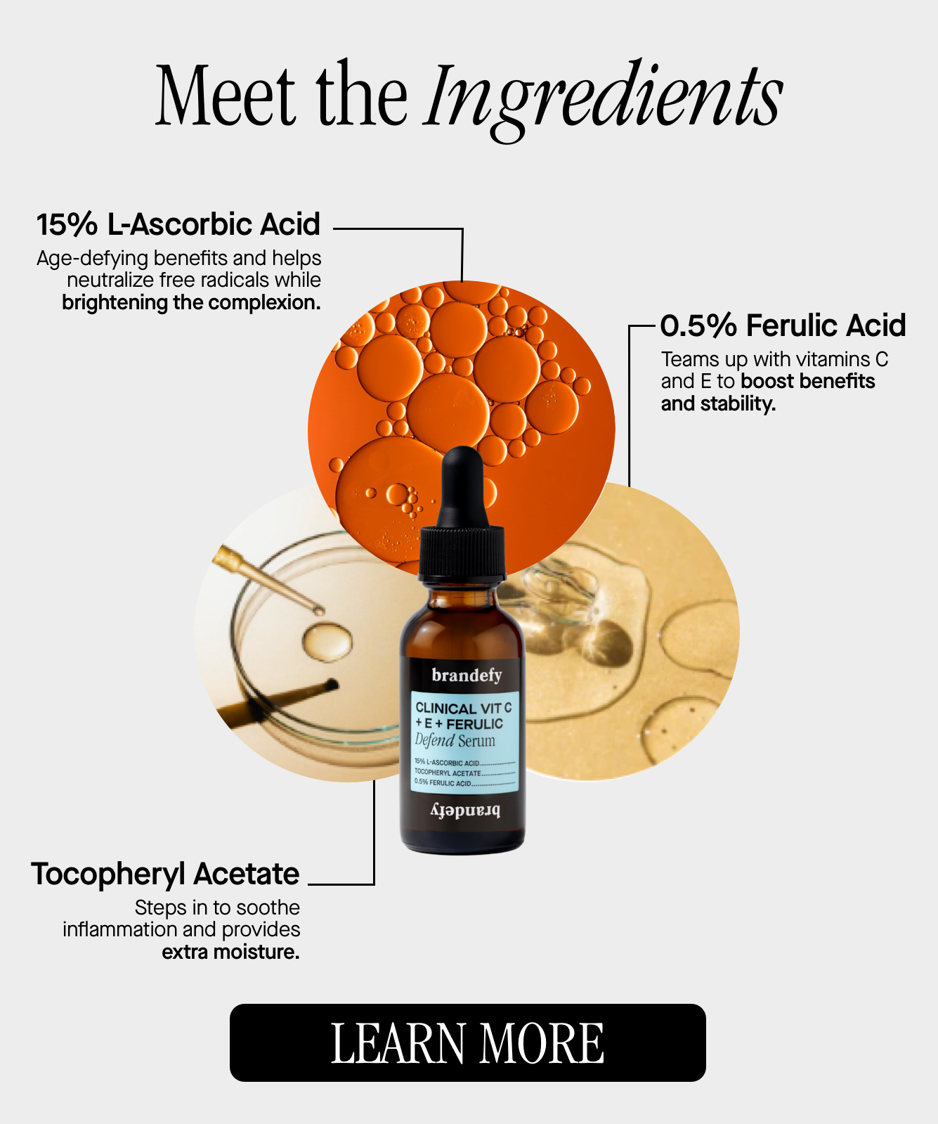 Meet the Ingredients