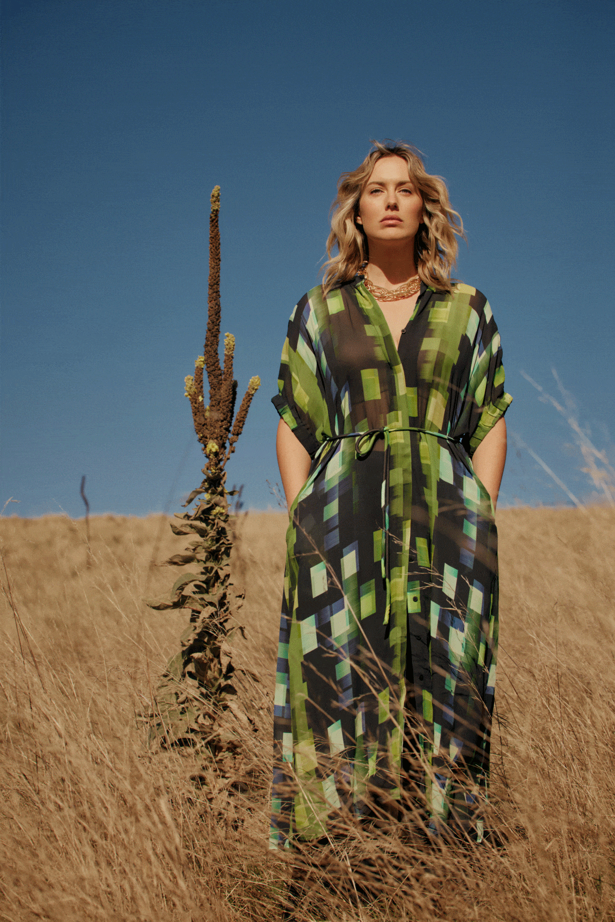 Indi Sheer Dress