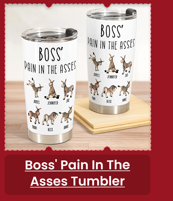Boss' Pain In The Asses Funny Boss Tumbler Cup