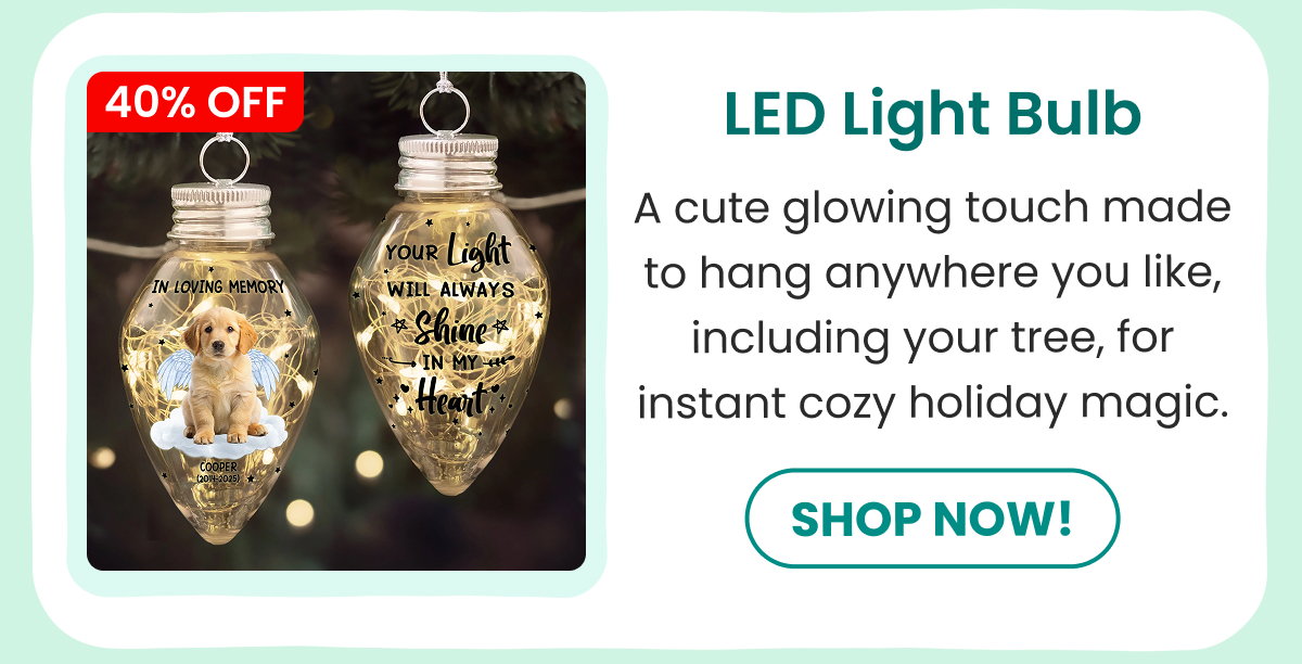 LED Light Bulb