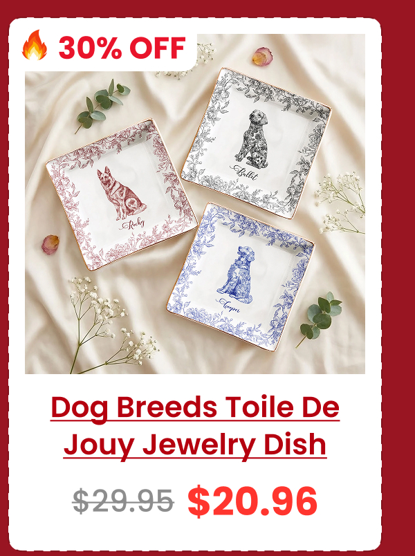 Dog Lover Gift Dog Breeds Chinoiserie Toile De Jouy Style Jewelry Dish