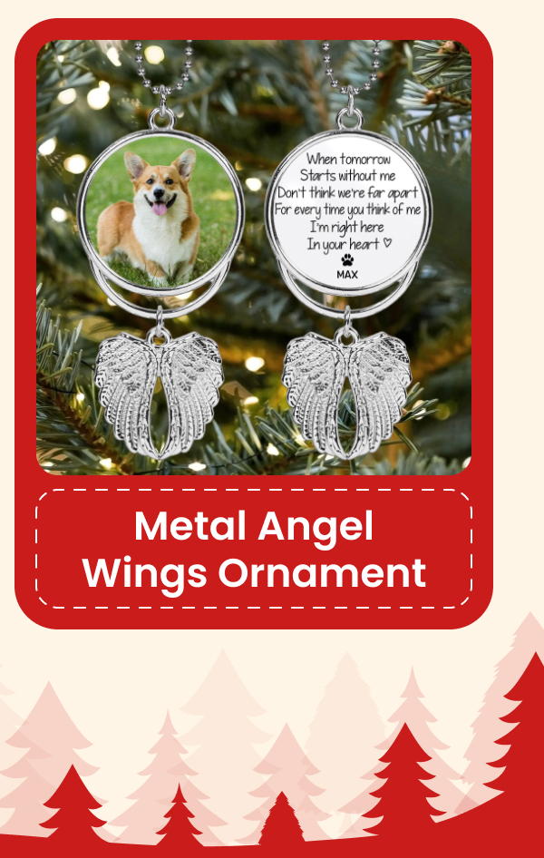 Metal Angel Wings Ornament