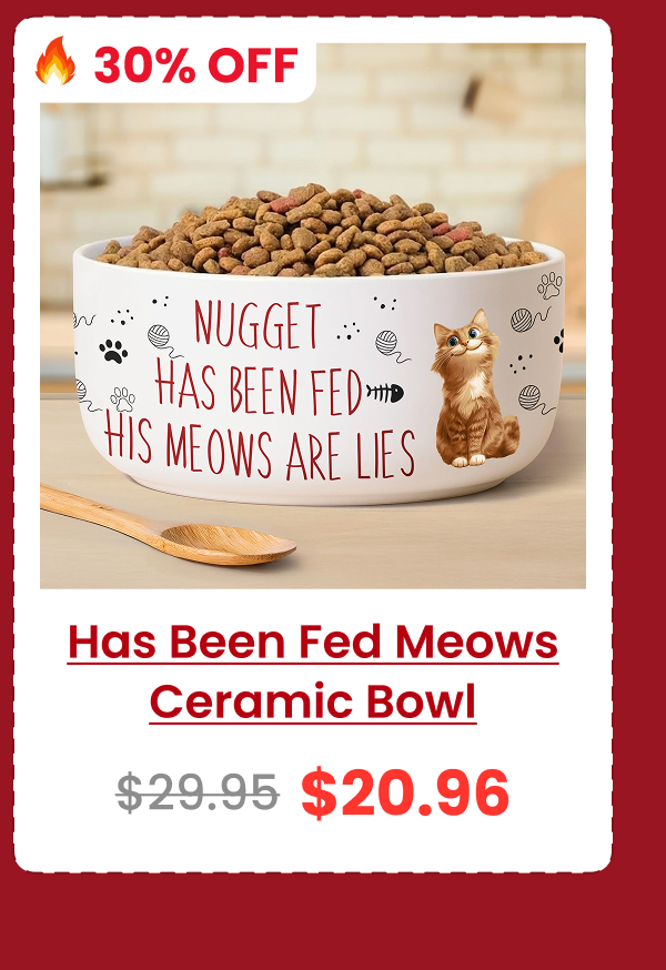 Funny Cat Food Bowl, Has Been Fed Her/His Meows Are Lies Ceramic Bowl