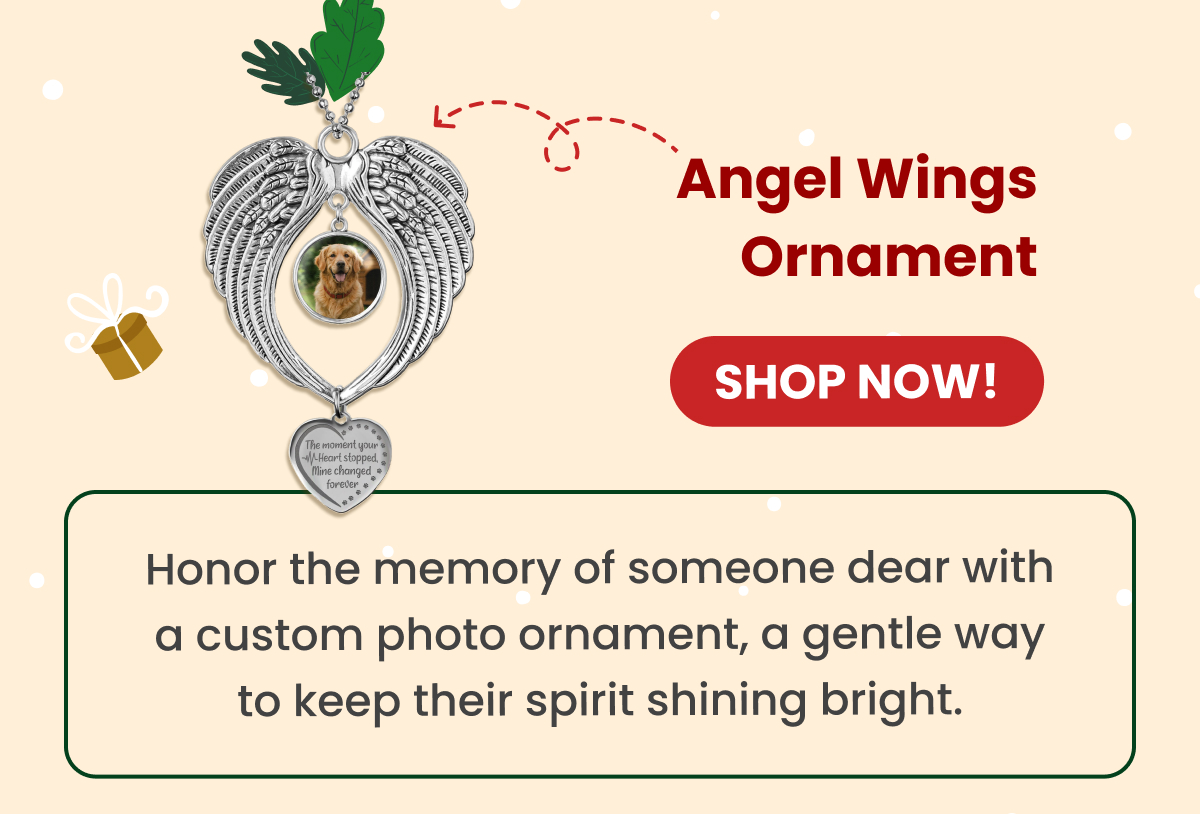 Angel Wings Ornament