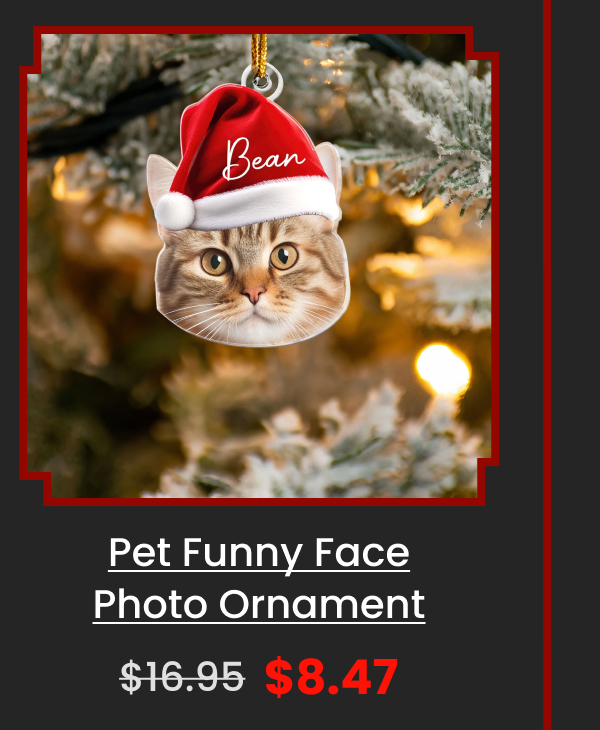 Pet Funny Christmas Face Pet Photo Ornament