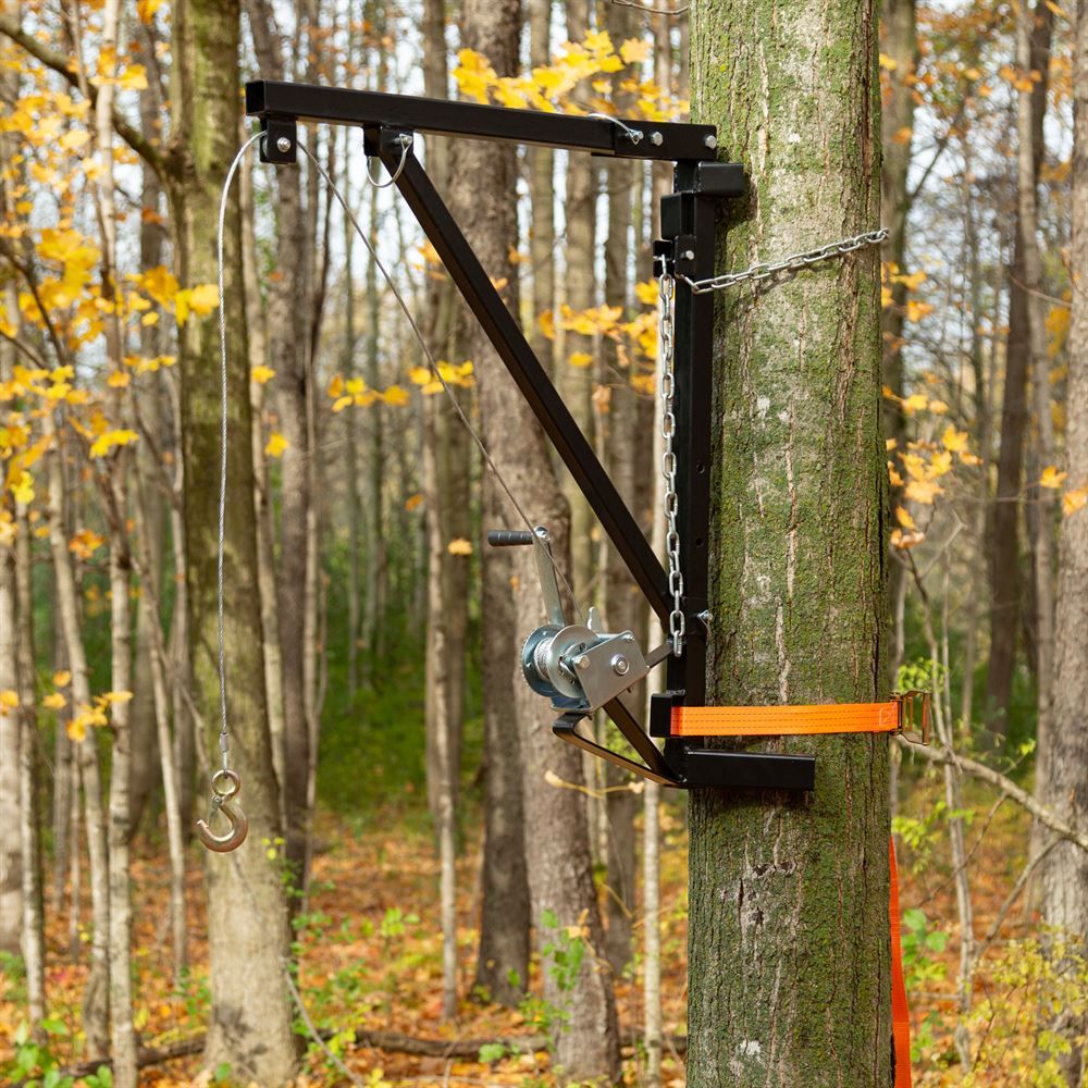 Best Deer Hoists