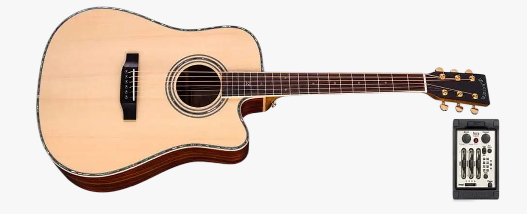 ZAD900CE Solid Rosewood Acoustic Electric