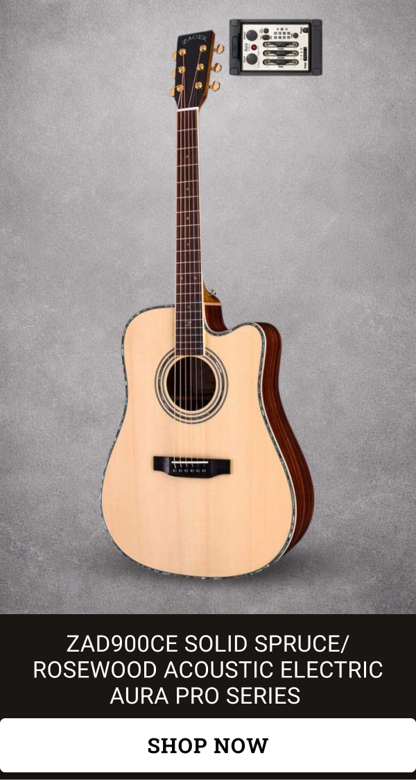 ZAD900CE Solid Spruce/Rosewood Acoustic Electric AURA Pro Series 