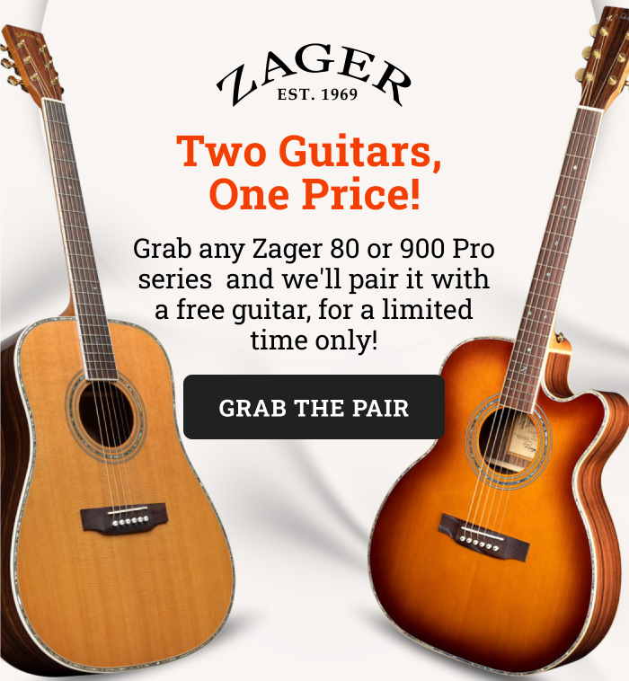 Two Guitars, One Price!
