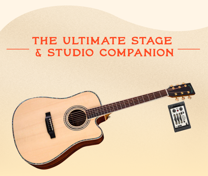  ZAD900CE Solid Spruce/Rosewood Acoustic Electric AURA Pro Series 