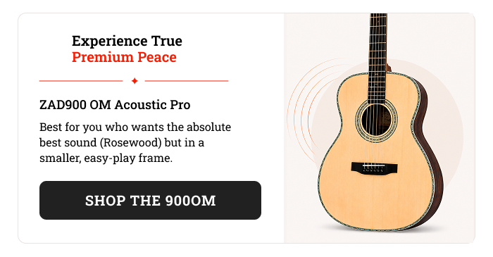 ZAD900 Solid Spruce/Rosewood Acoustic Smaller “OM” Size Pro Series
