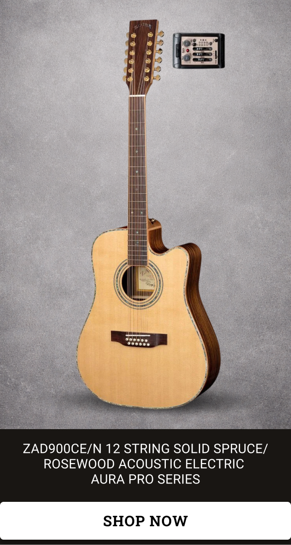 ZAD900CE/N 12 String Solid Spruce/Rosewood Acoustic Electric AURA Pro Series