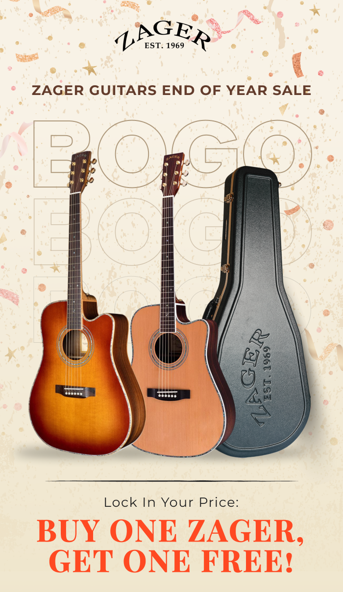 Zager Guitars End Of Year Sale