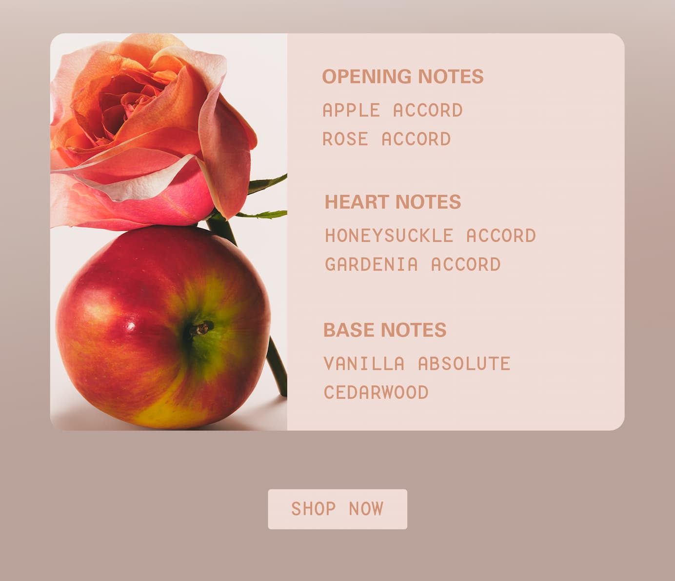 blush wood opening notes