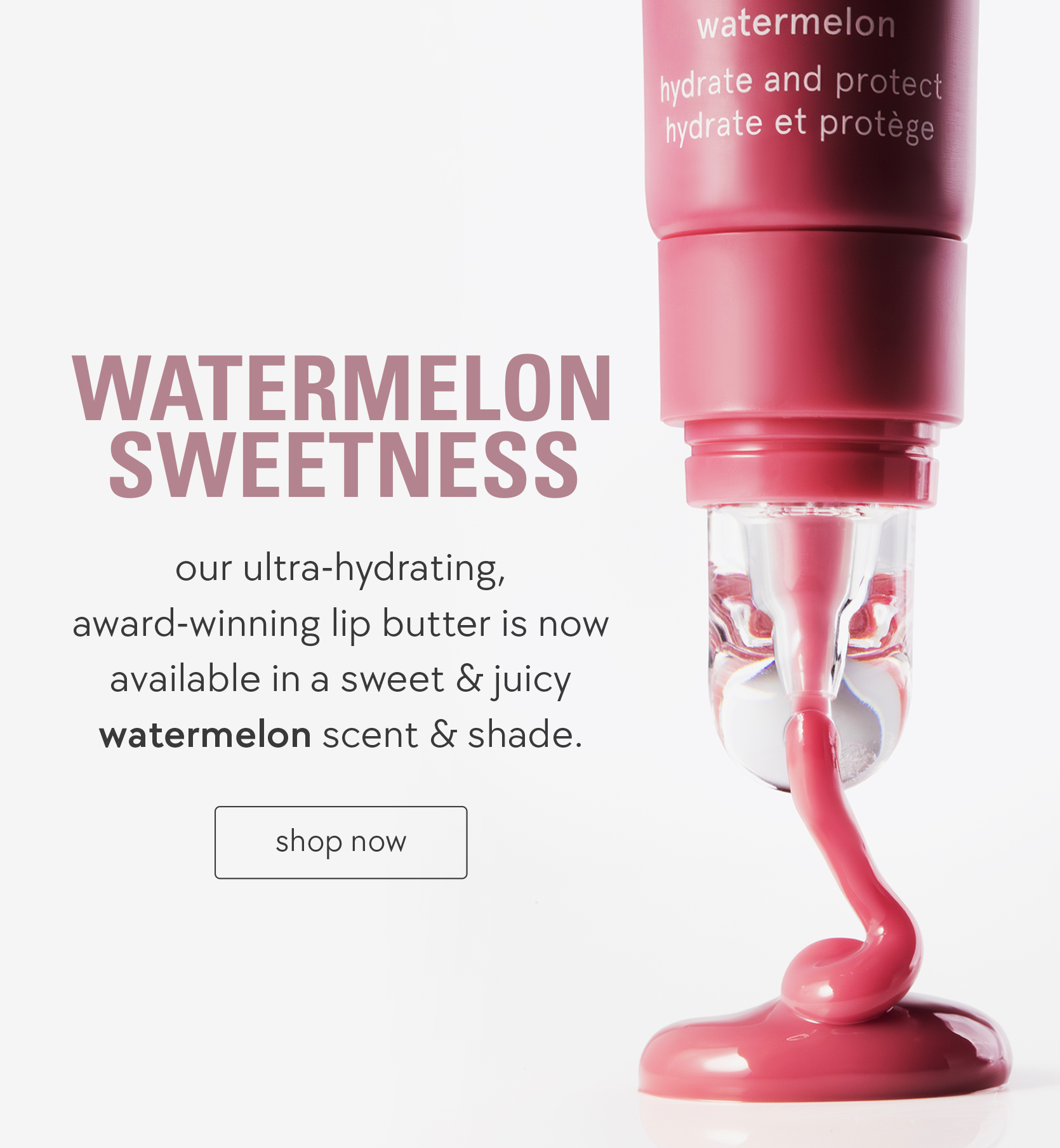 watermelon sweetness 