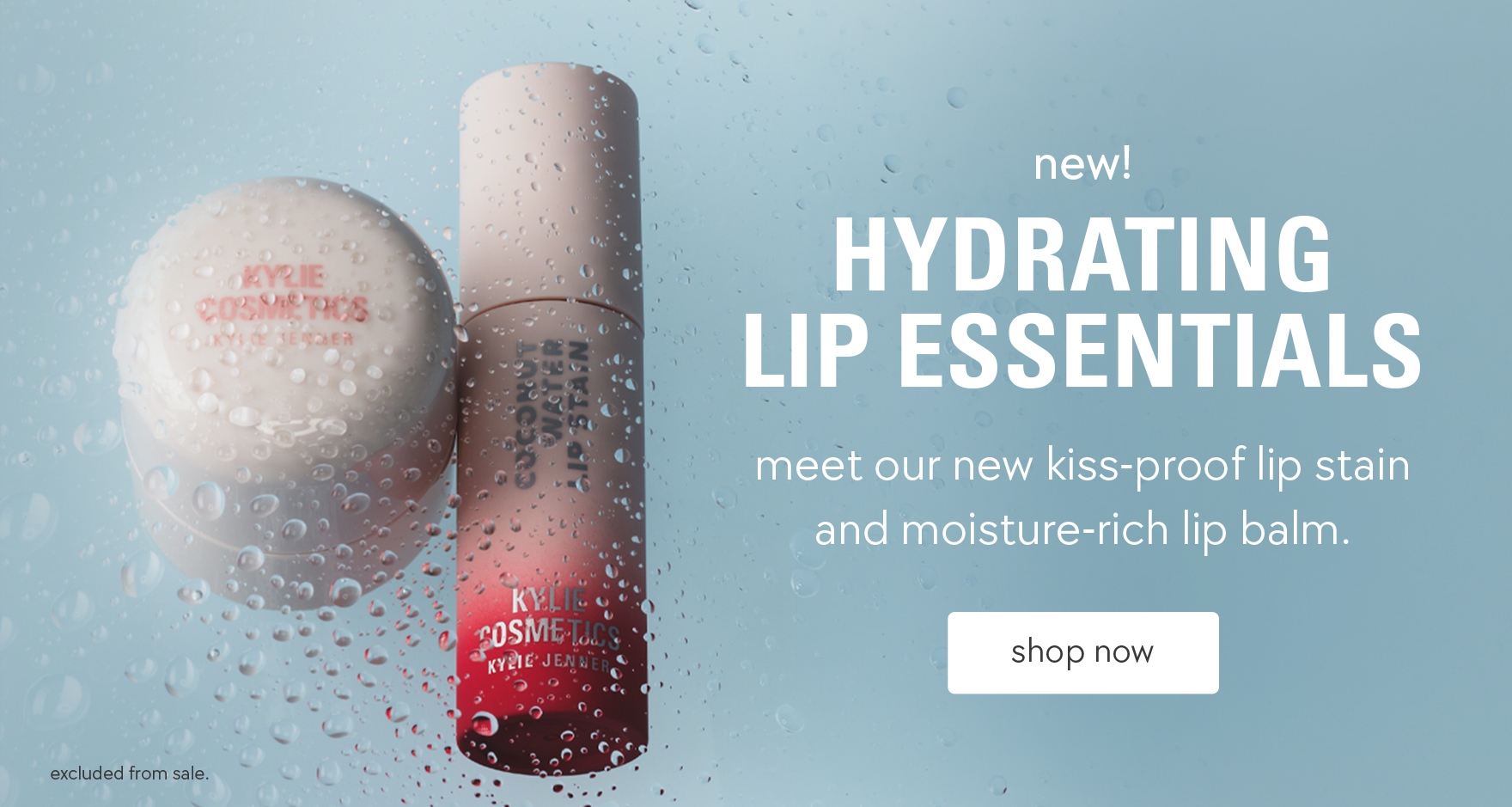lip essentials