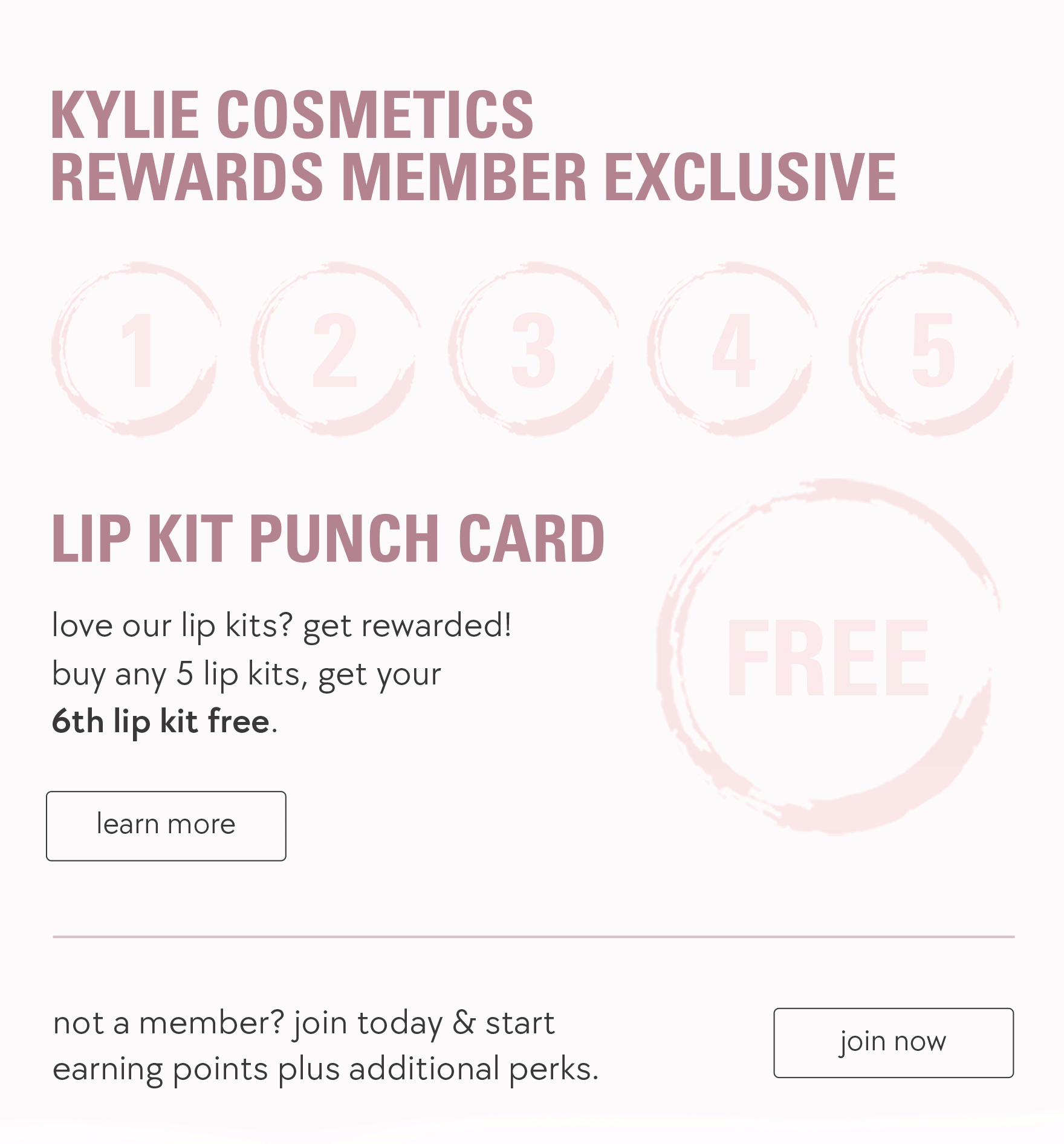 lip kit punch card