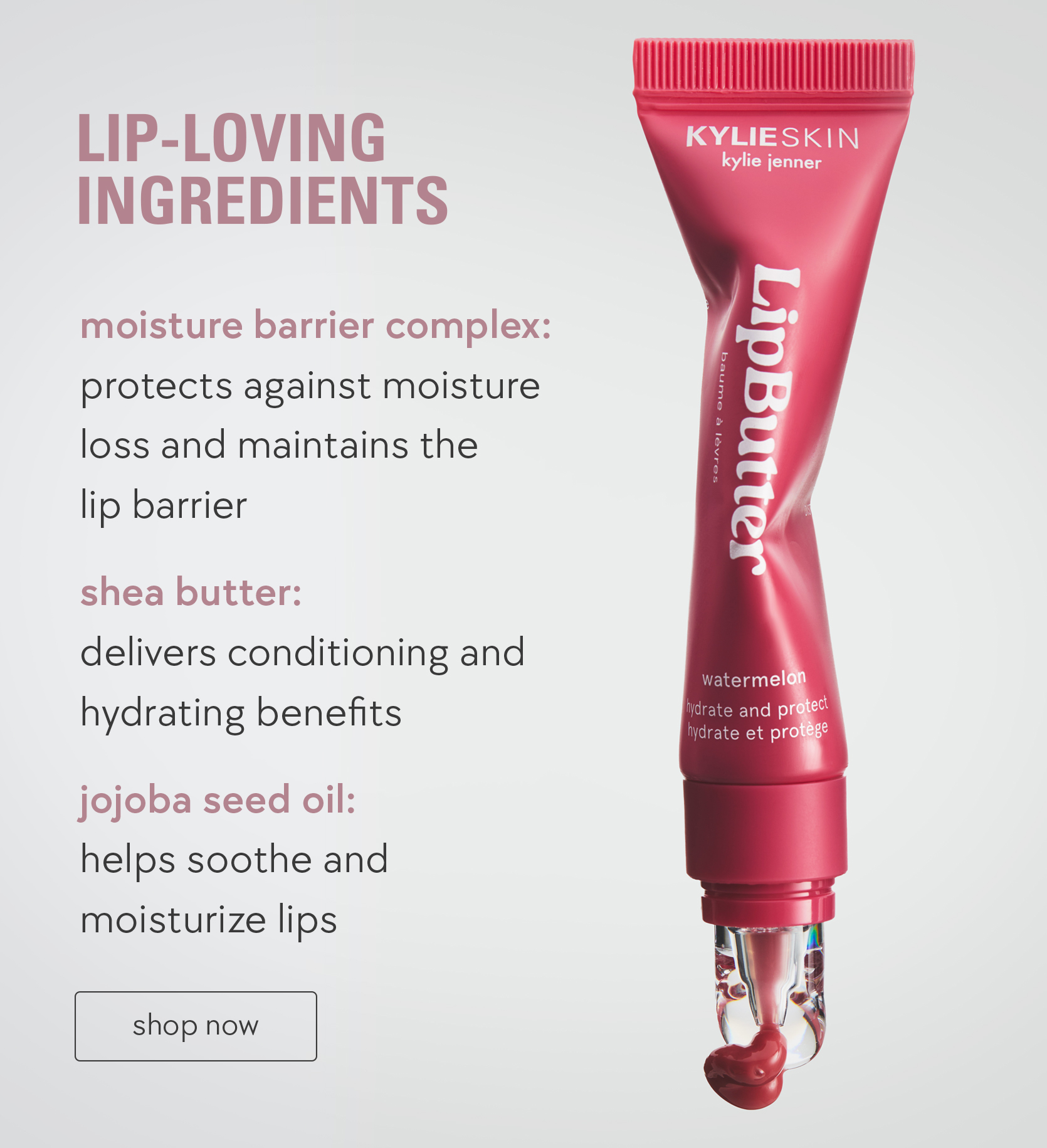 lip loving ingredients 