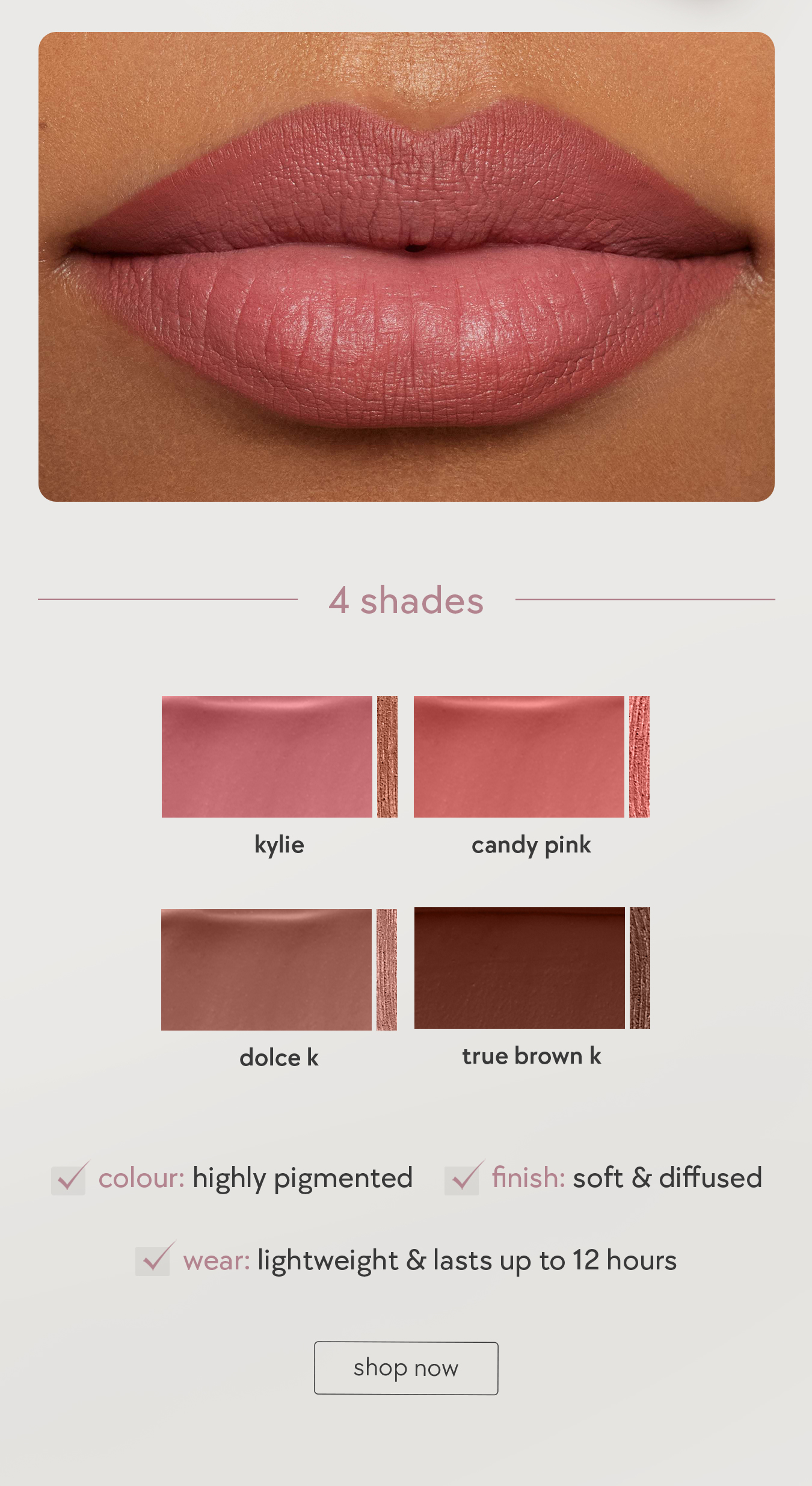 Plumping Matte Lip Kit