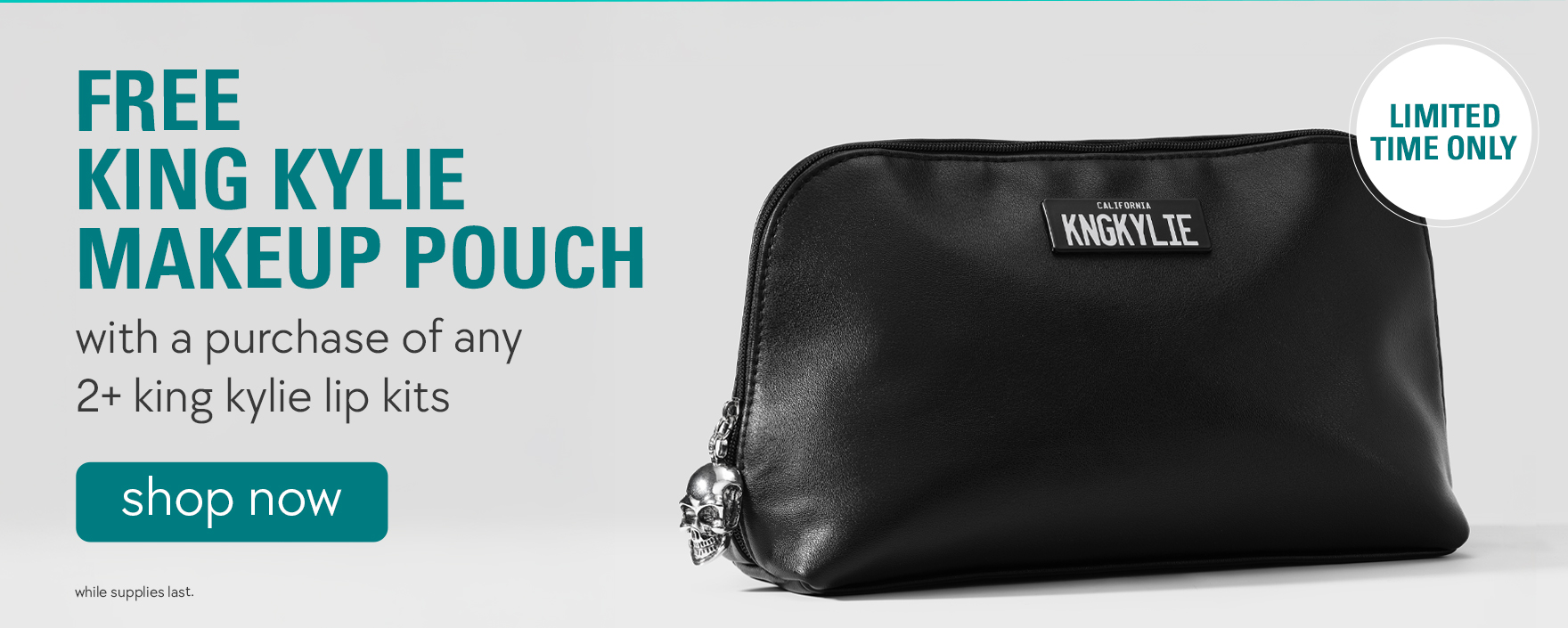 free king kylie makeup pouch