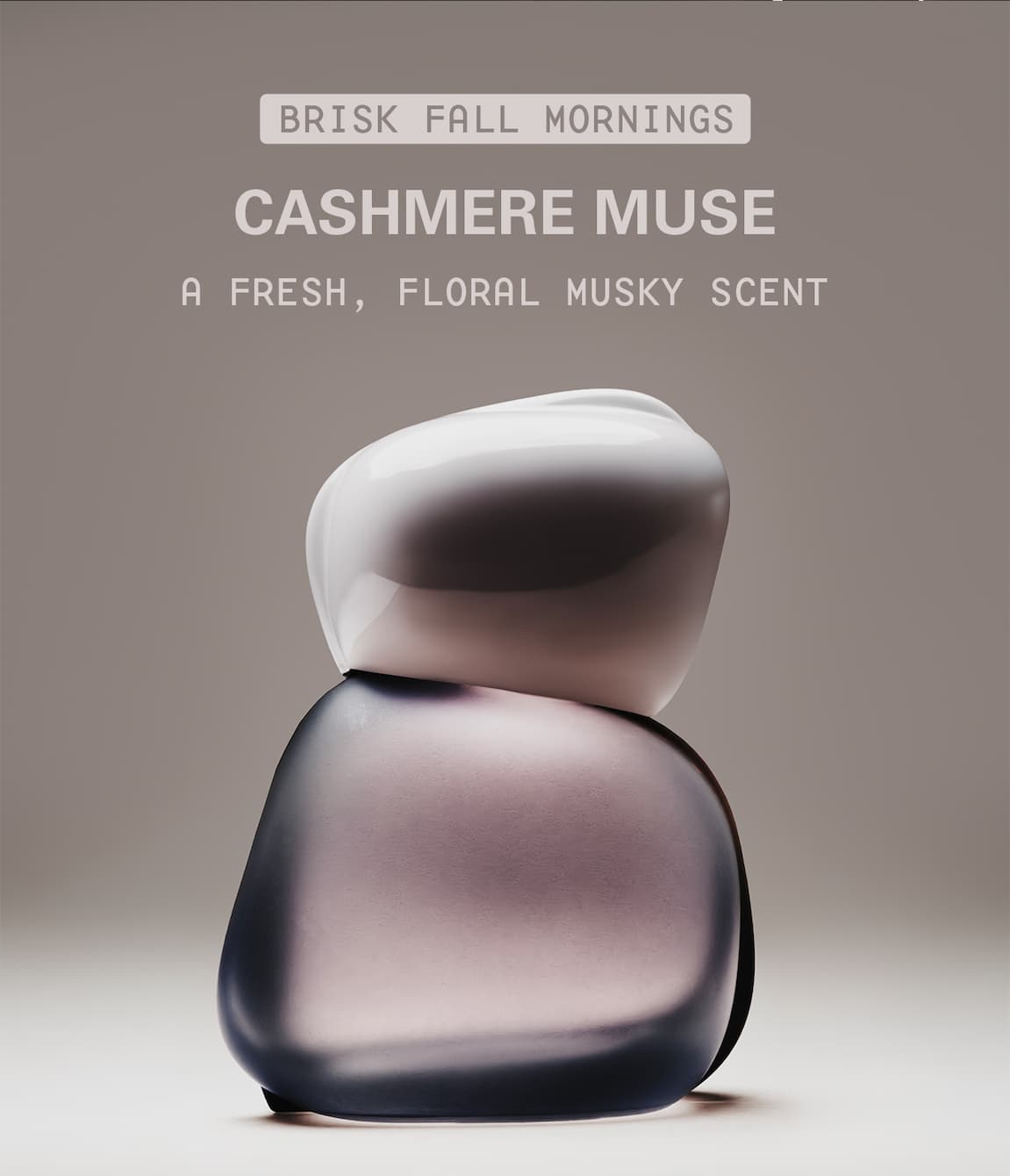 brisk fall mornings: cashmere muse