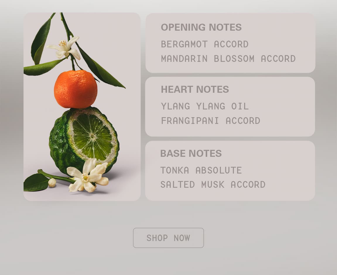 cashmere muse opening, heart & base notes
