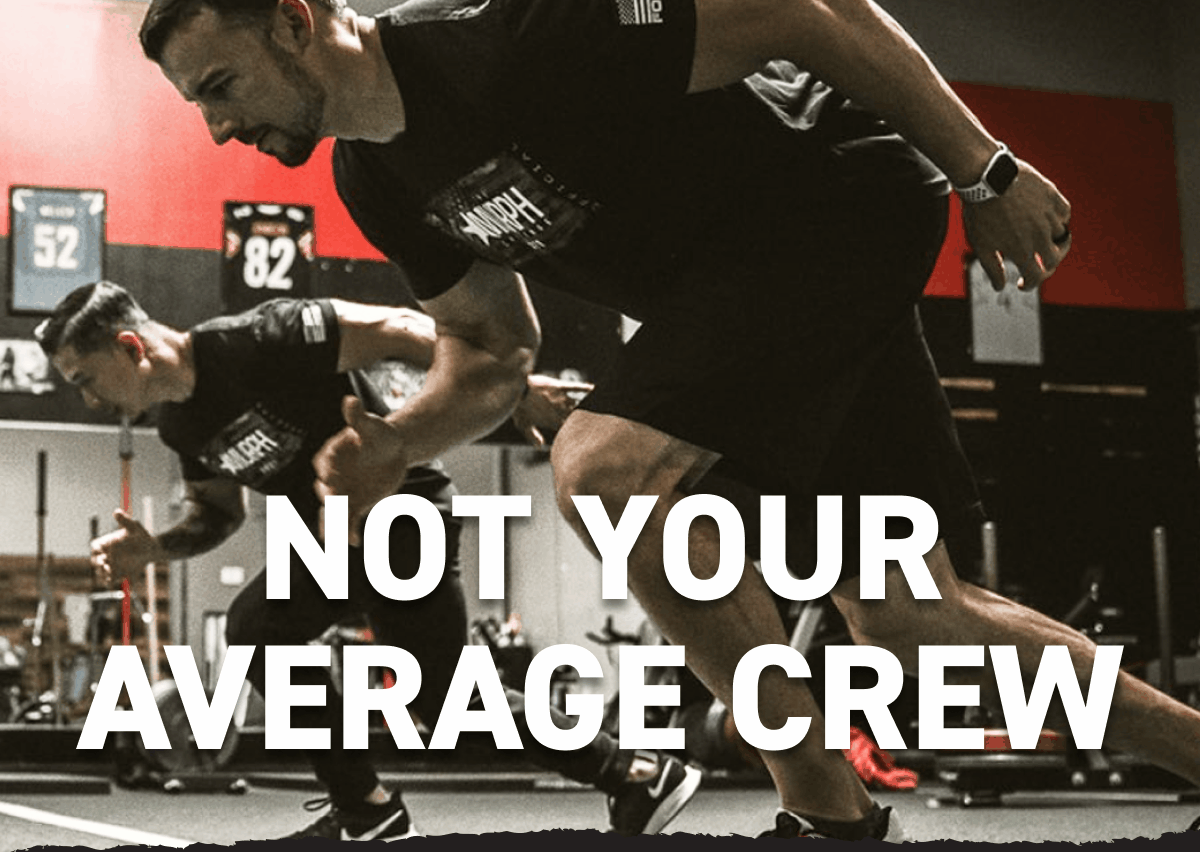 The CREW Wants YOU Brute Force Training the-crew-wants-you-brute-force-training