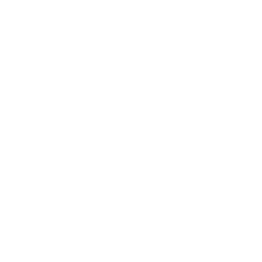 Next Day Delivery