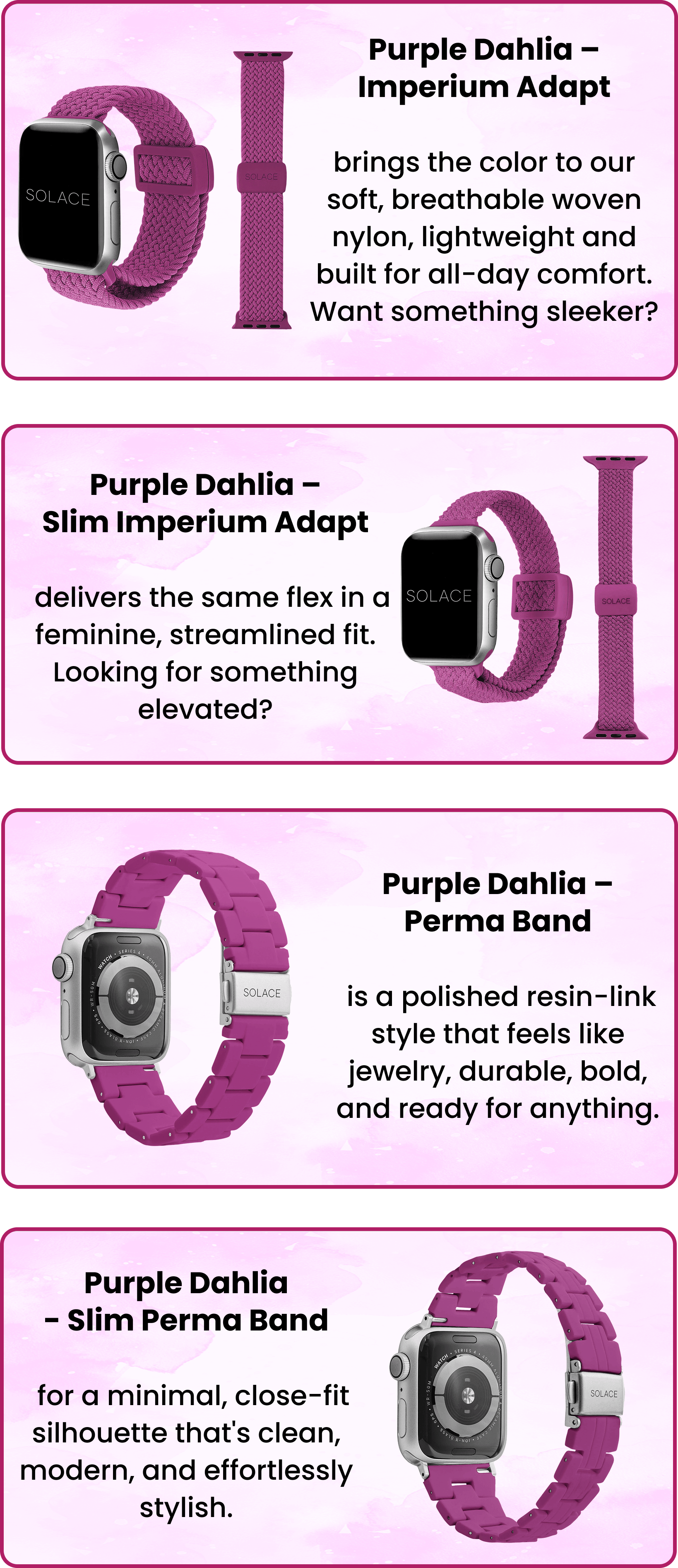 Purple Dahila