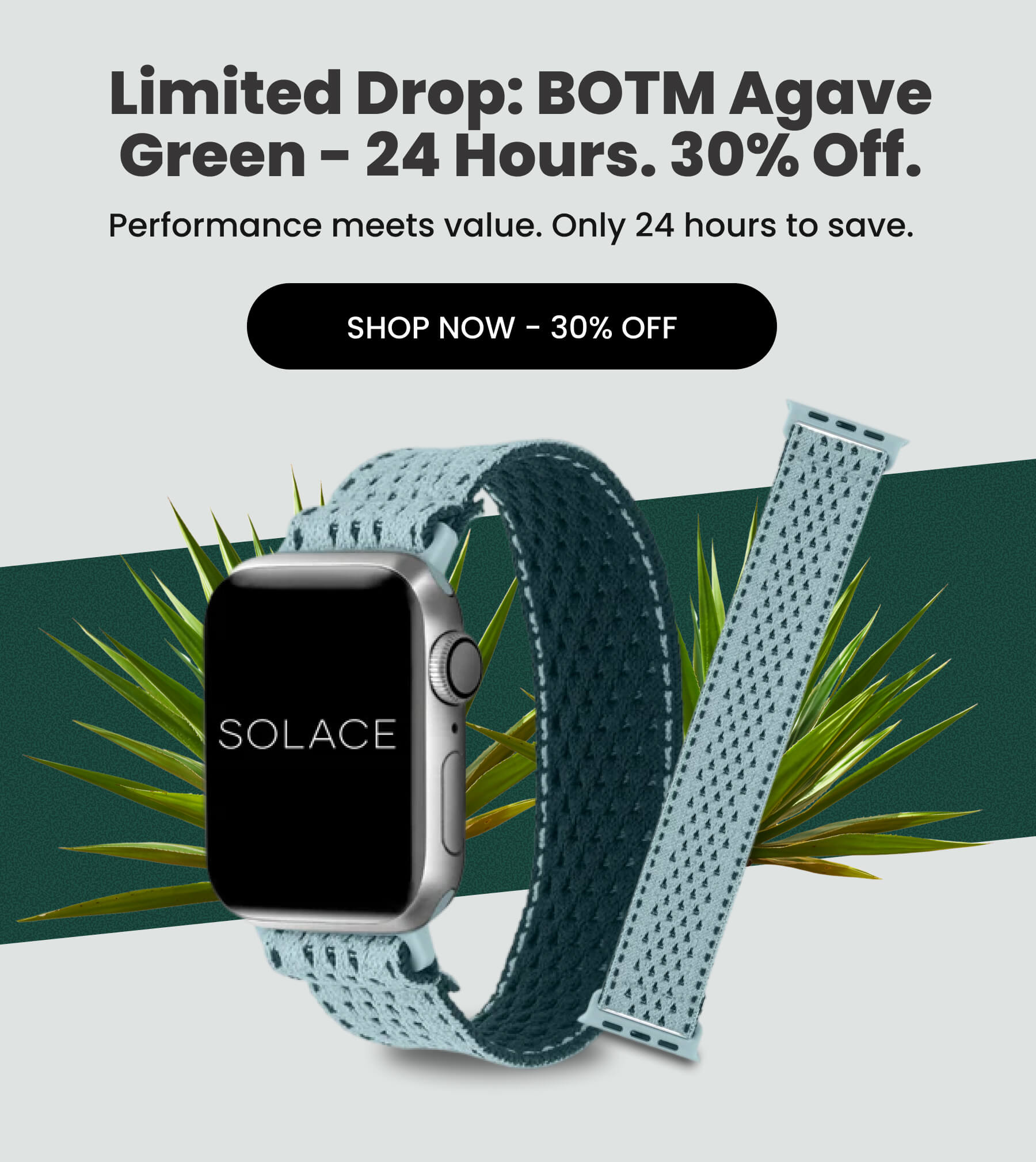 Limited Drop: BOTM Agave Green - 24 Hours. 30% Off.