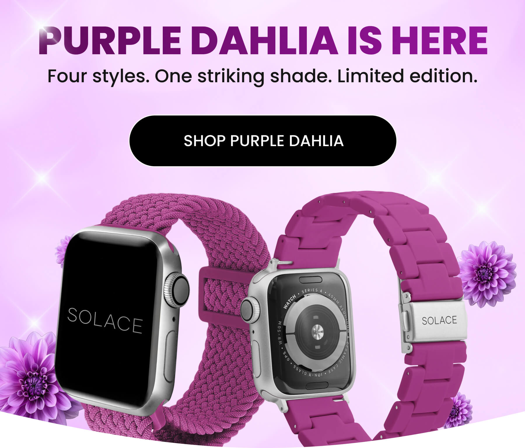 Shop Purple Dahila