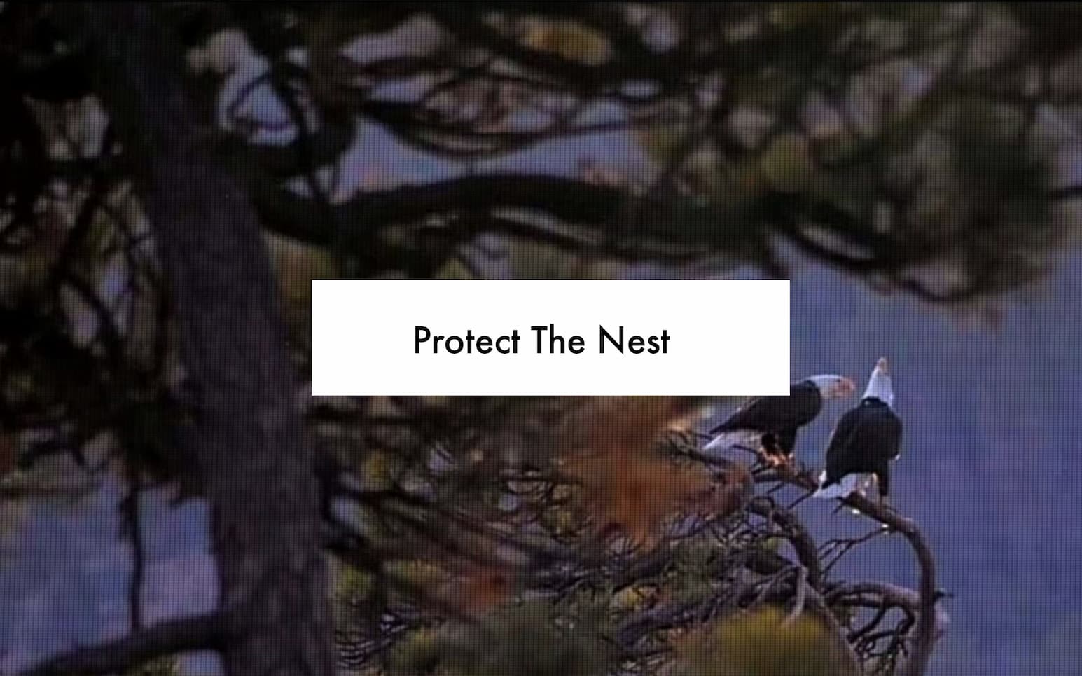 PROTECT THE NEST