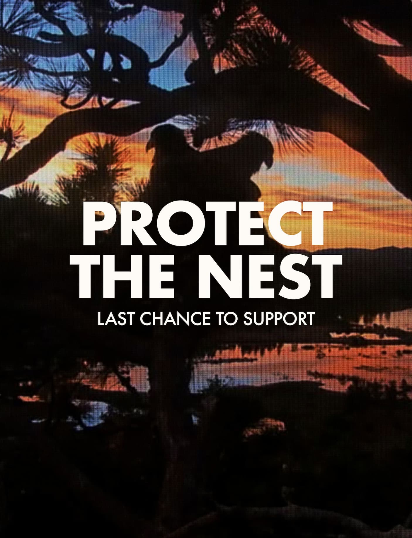 Protect The Nest