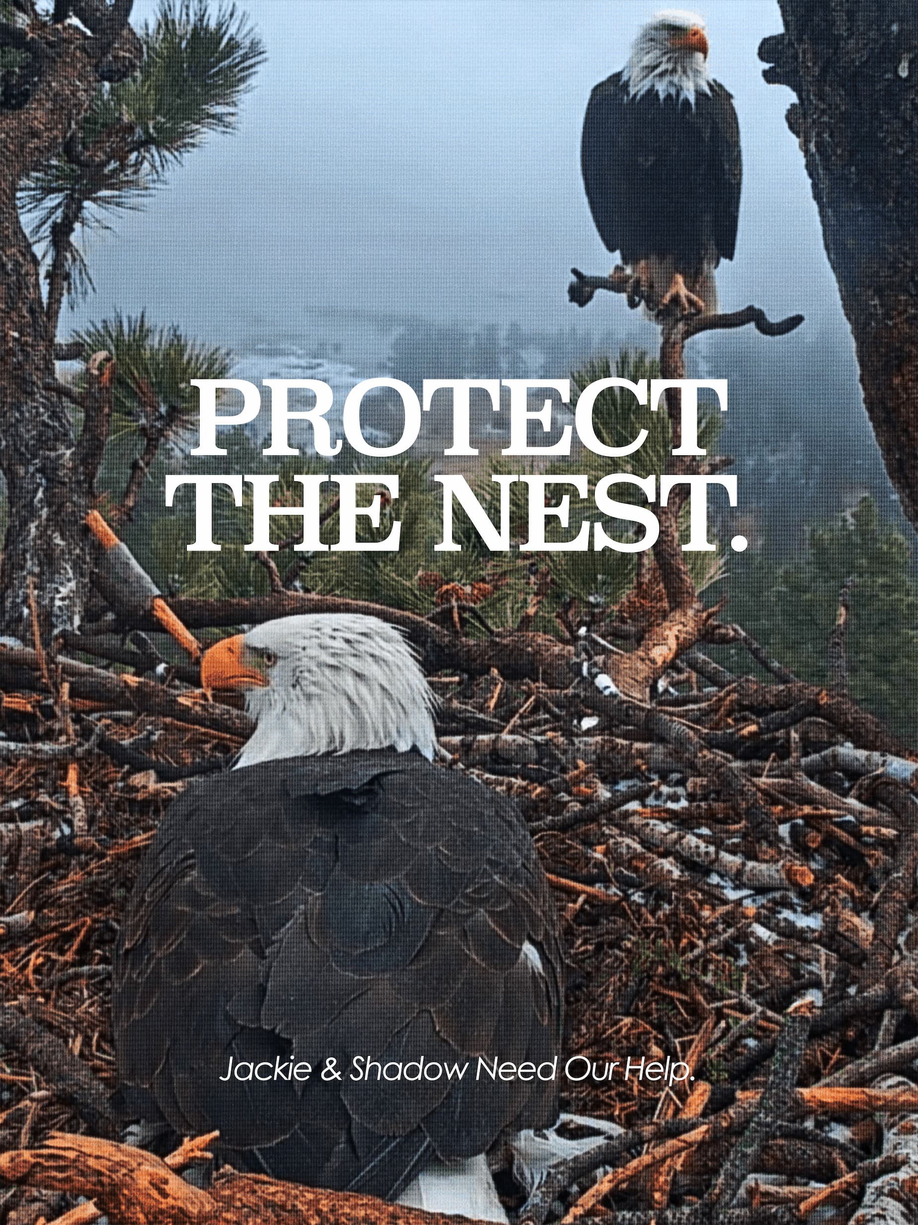 PROTECT THE NEST
