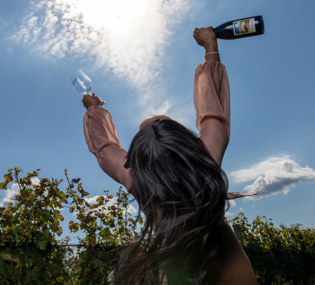 Free Your Wine