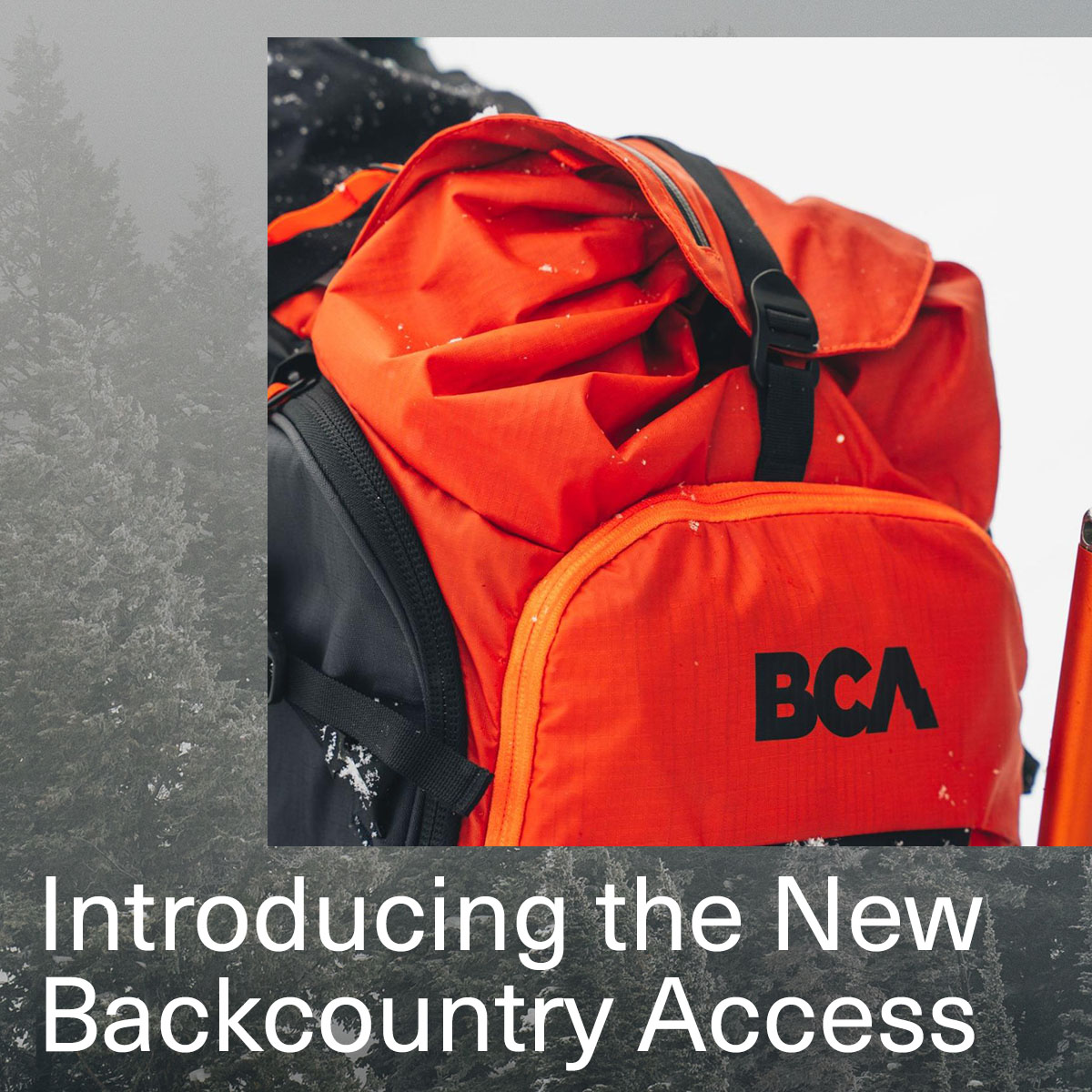 The New Backcountry Access Backcountry Access