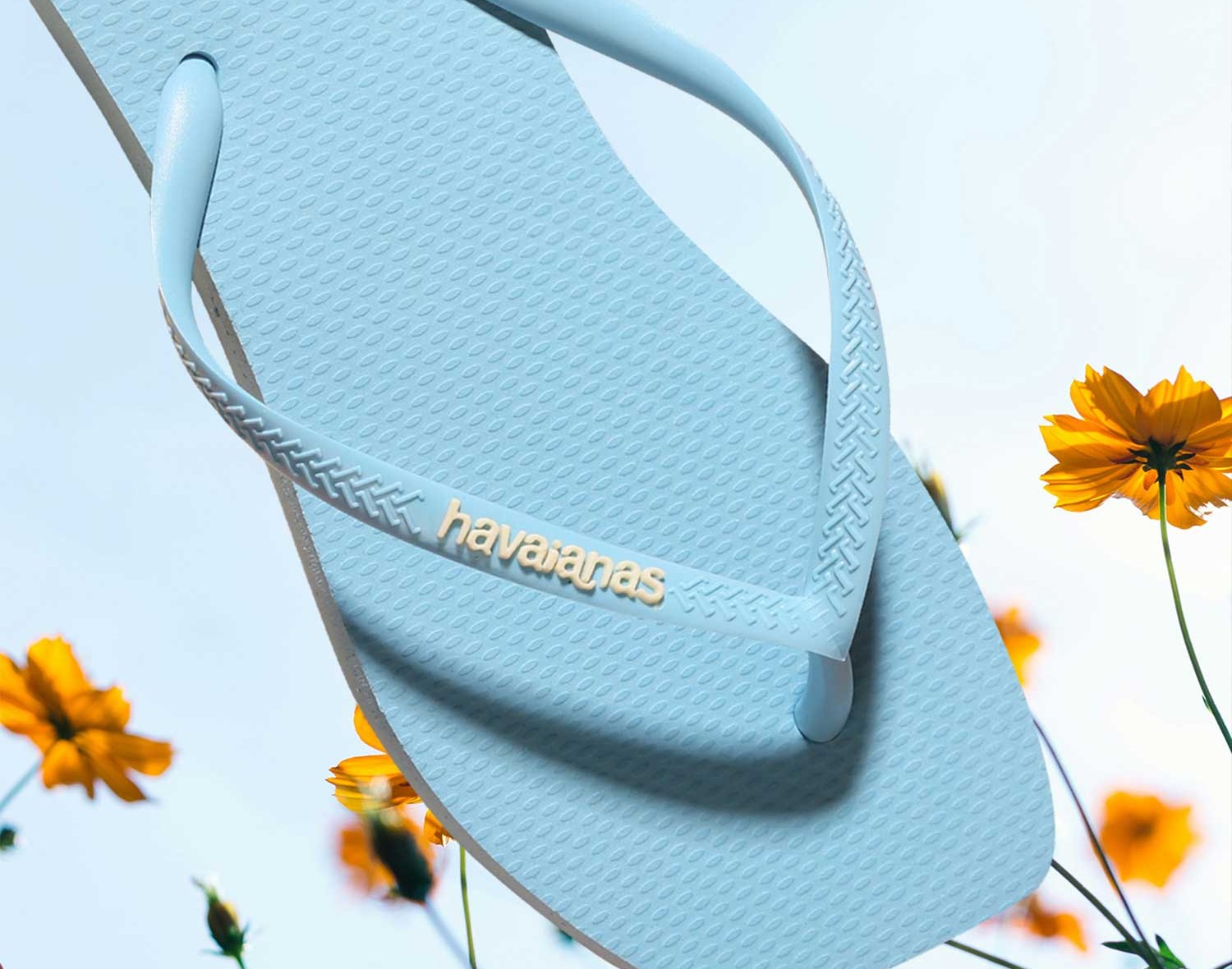 havaianas australia havaianas website